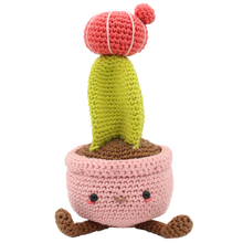 HARDICRAFT - CROCHET AMIGURUMI KIT PACKAGES